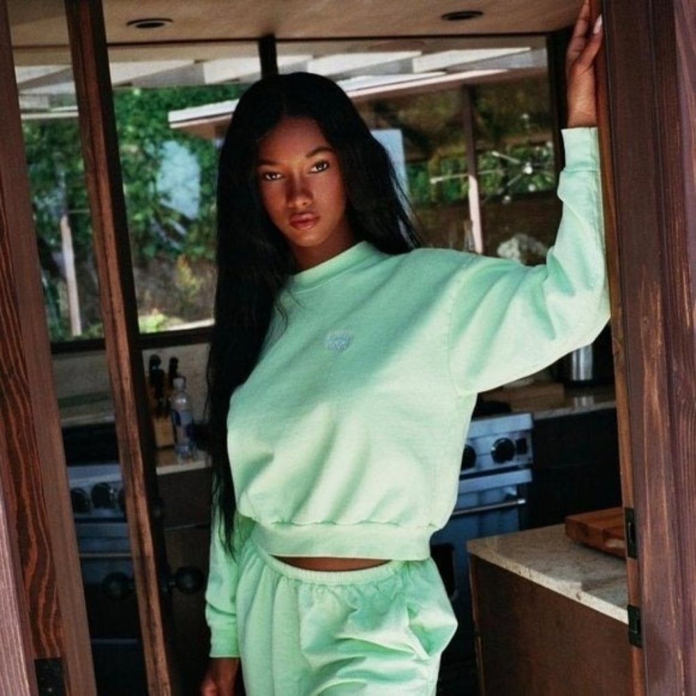 NEW LIVIN COOL ESSENTIAL MINT SWEATSHIRT SZ SMALL S